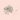 Pearl Headed Pins - Precious About Make-up, PAM, (product_title),Hair, Paks